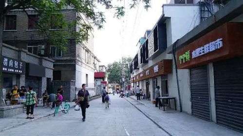 喜迎國慶，背街小巷煥新顏 建筑物清潔服務(wù)為生活增添幸福感